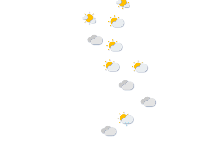 Forecast