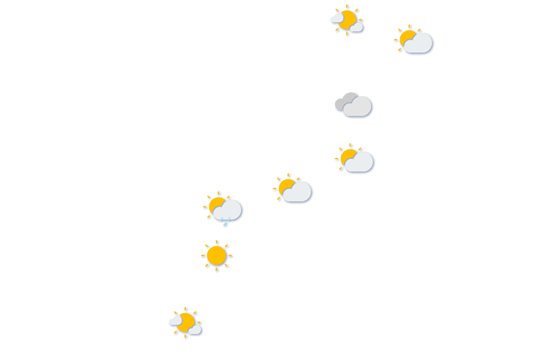 Forecast