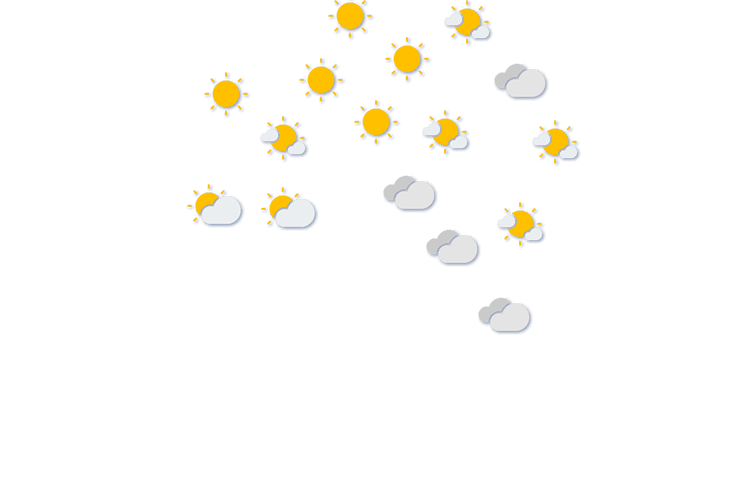 Forecast