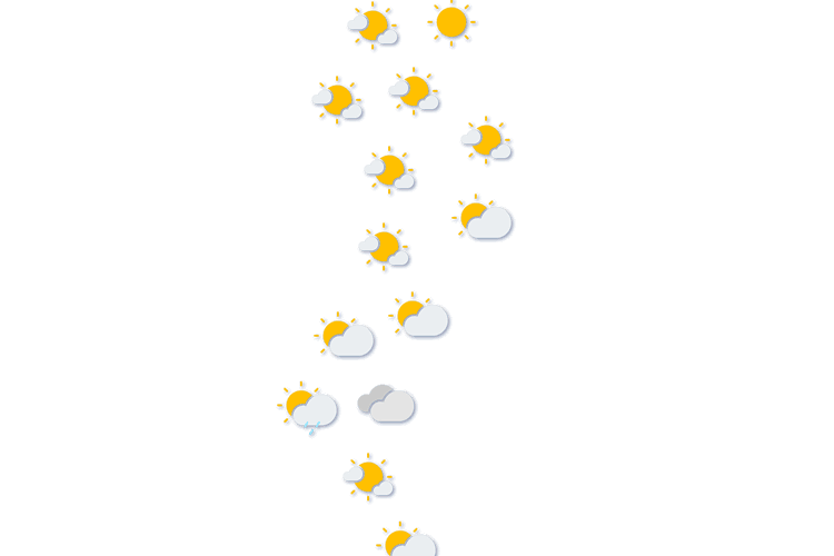 Forecast