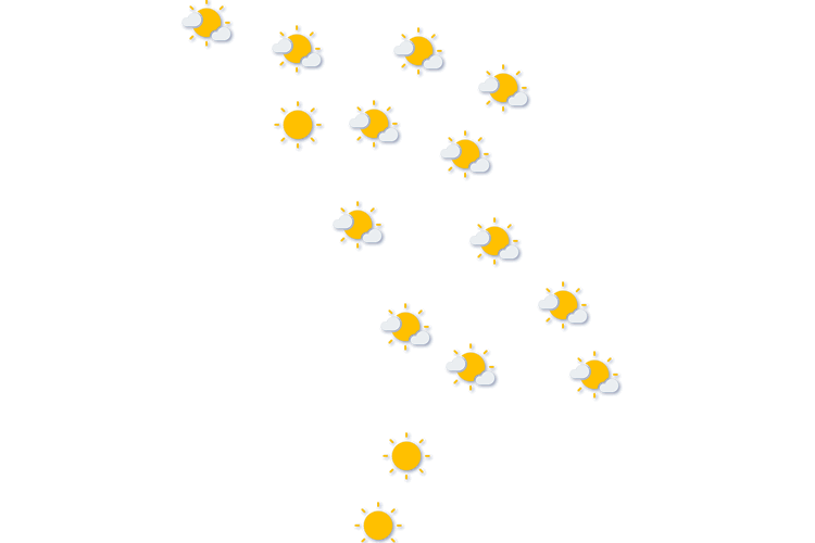 Forecast