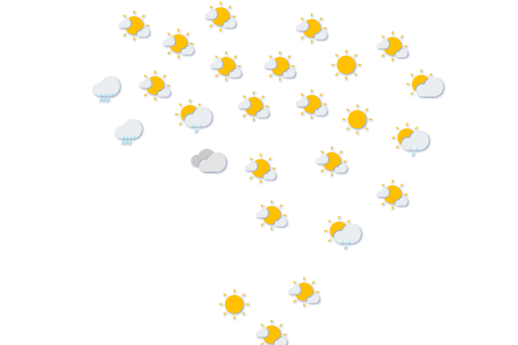 Forecast