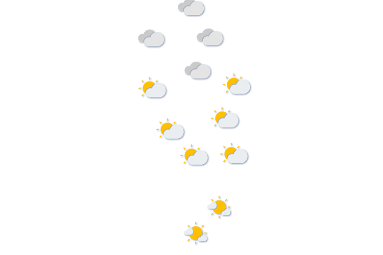 Forecast