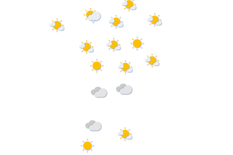 Forecast
