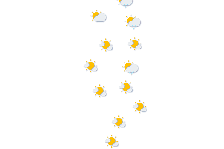 Forecast