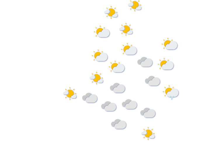 Forecast