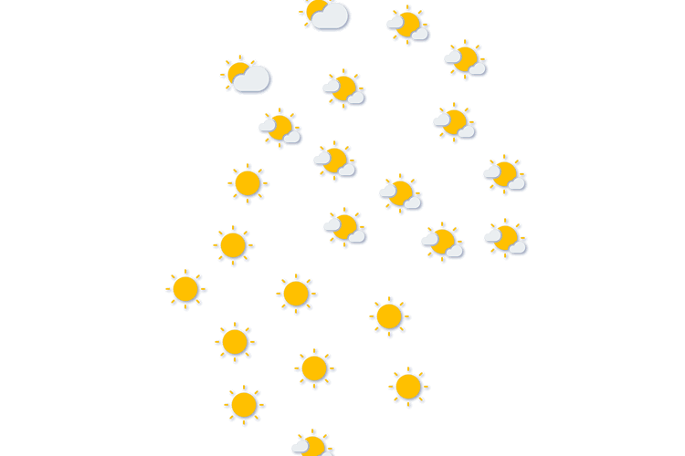 Forecast