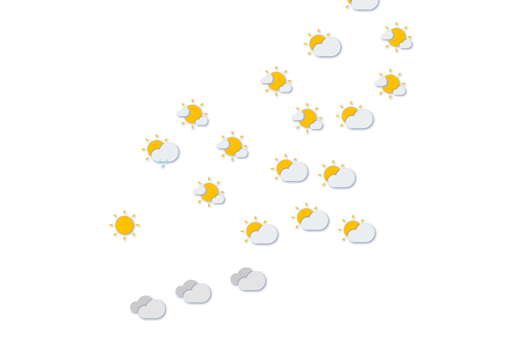 Forecast