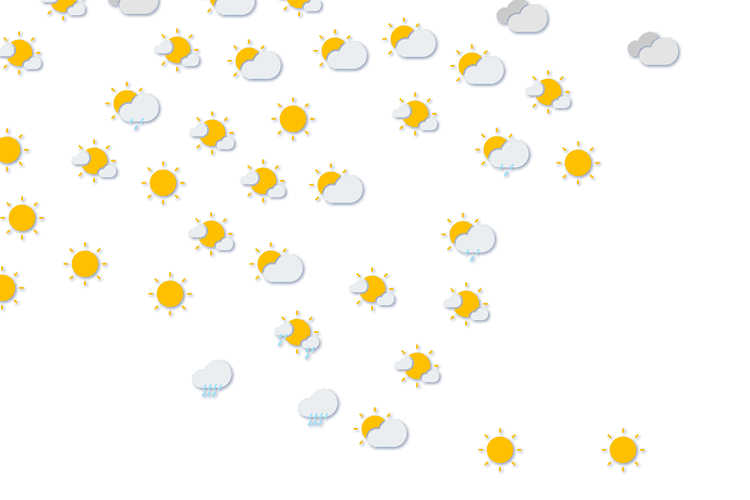 Forecast