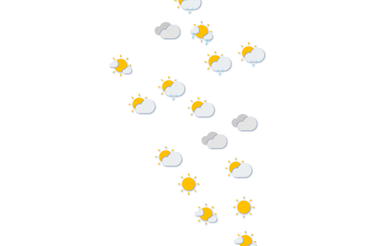 Forecast