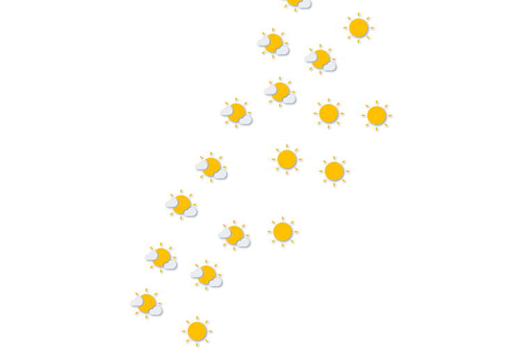Forecast