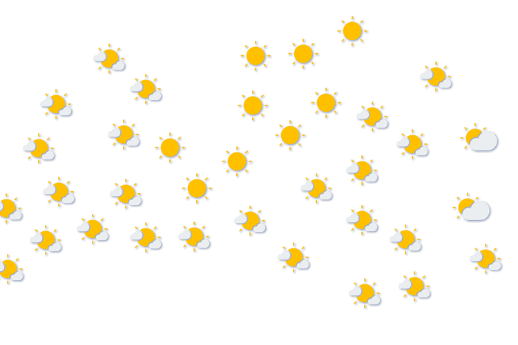 Forecast