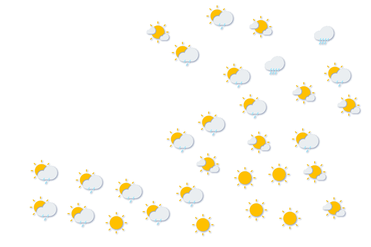 Forecast