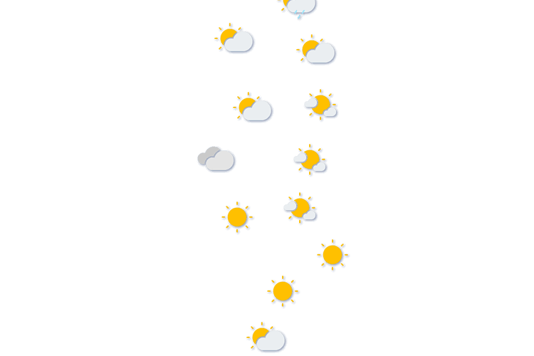 Forecast