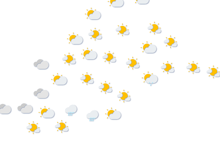 Forecast