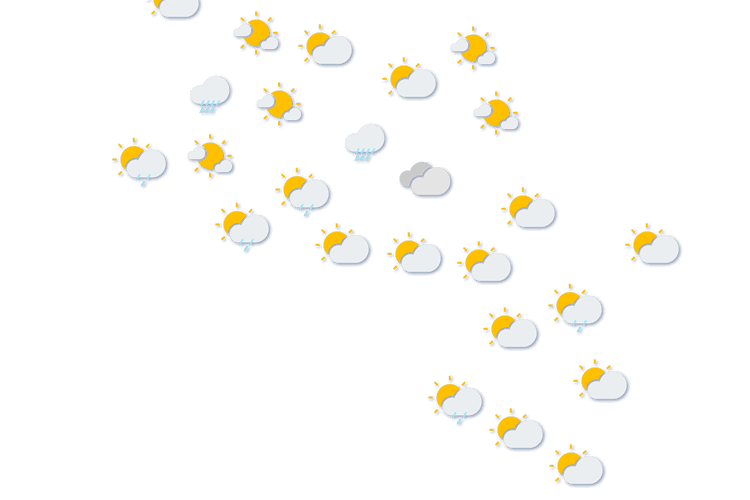 Forecast