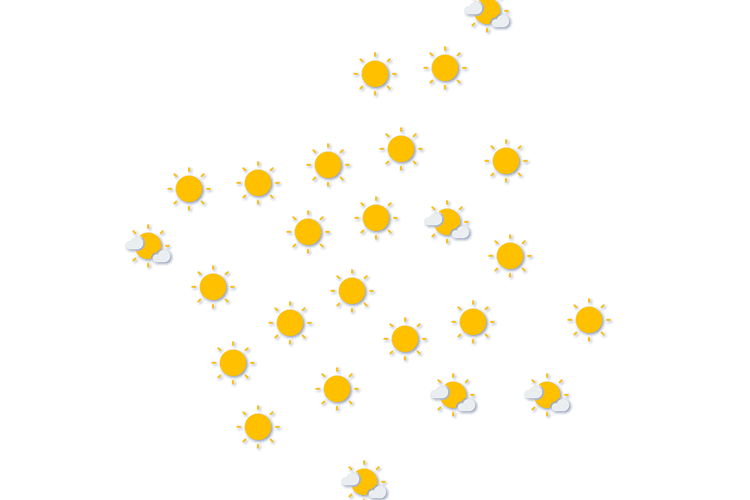 Forecast