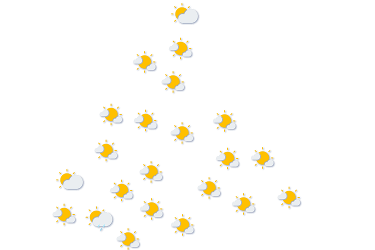 Forecast