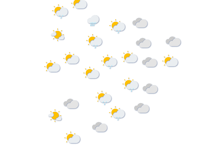 Forecast