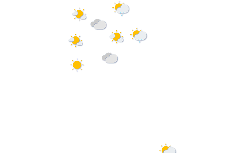 Forecast
