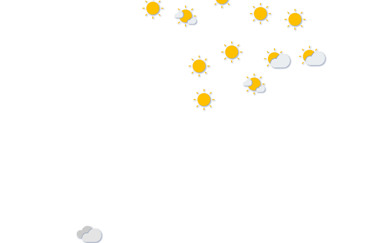 Forecast