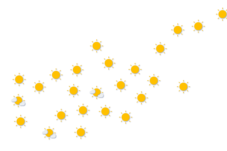 Forecast