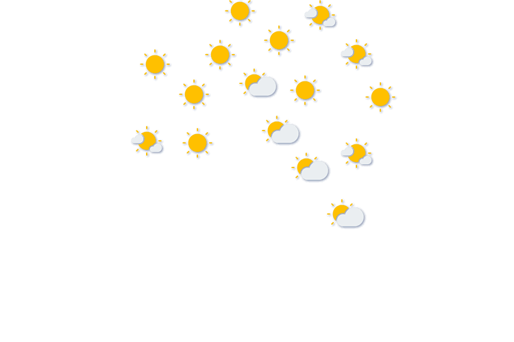 Forecast