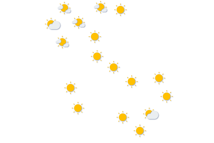 Forecast