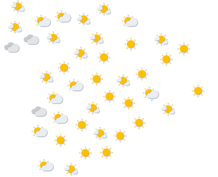 Forecast