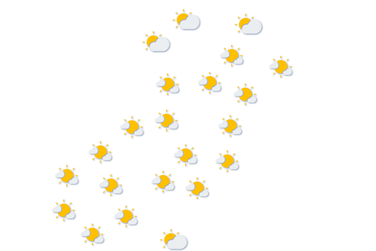 Forecast