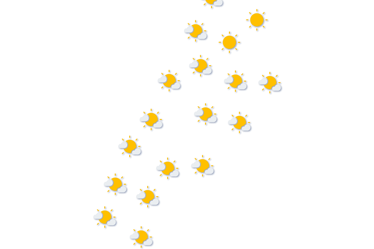 Forecast