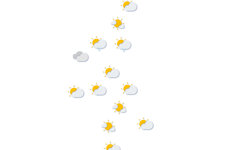 Forecast