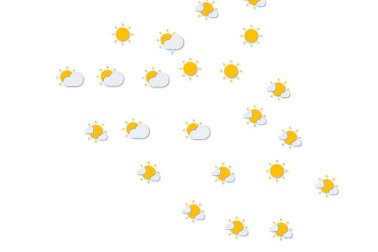 Forecast