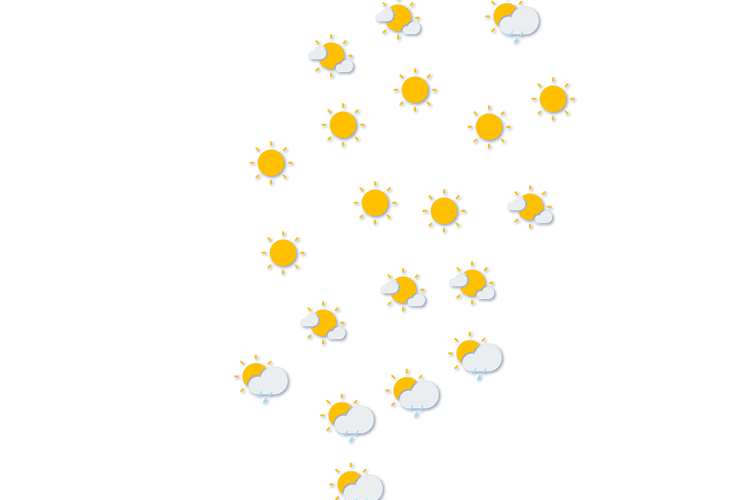 Forecast