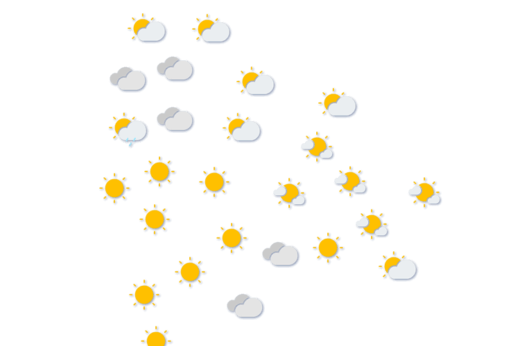 Forecast