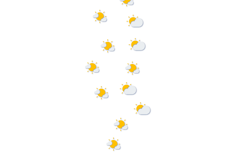 Forecast