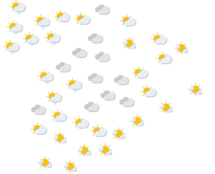 Forecast