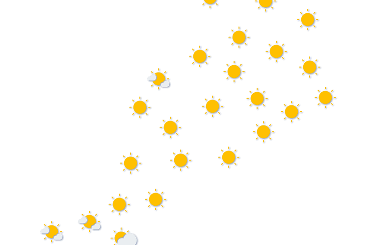 Forecast