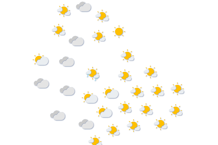 Forecast
