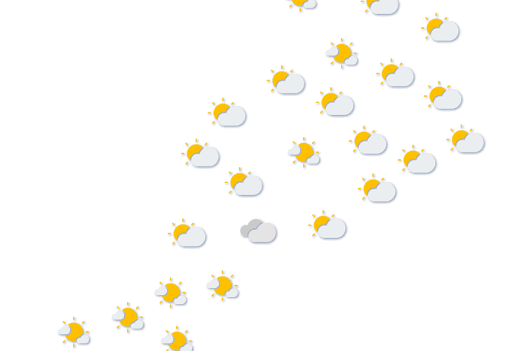 Forecast
