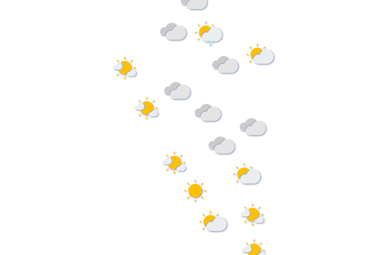 Forecast