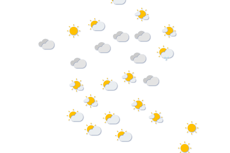 Forecast