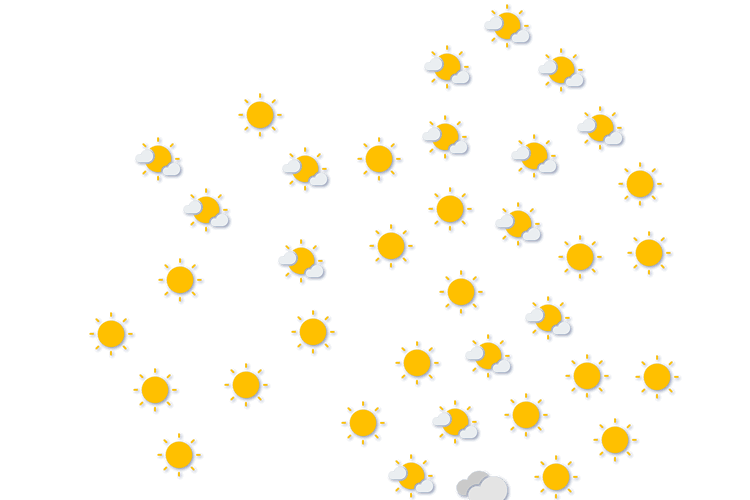 Forecast