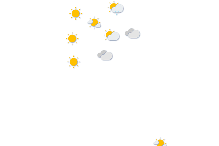 Forecast