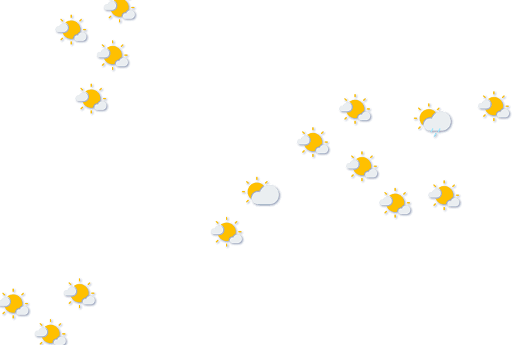 Forecast