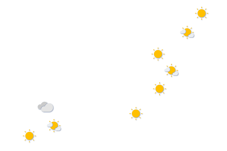 Forecast