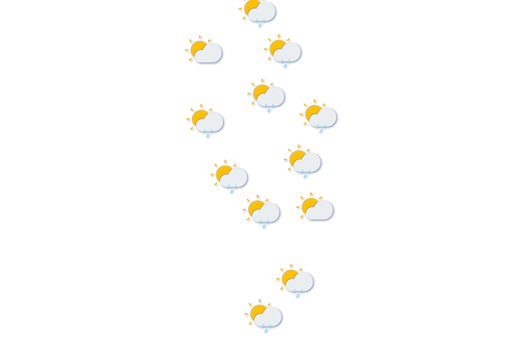Forecast