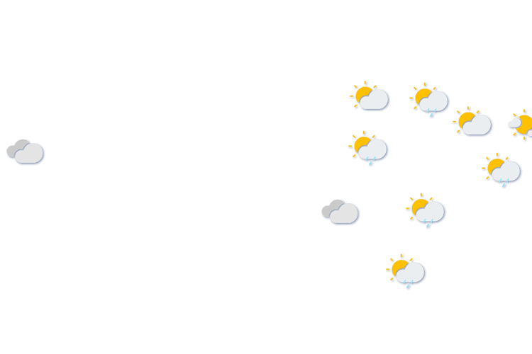 Forecast