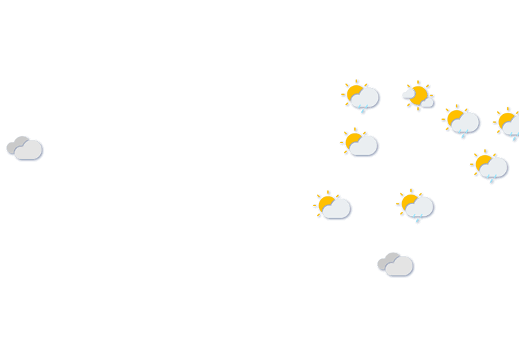Forecast