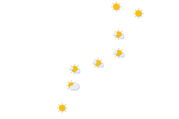 Forecast